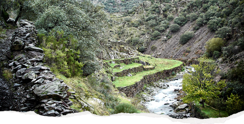 Valle de la Fragosa