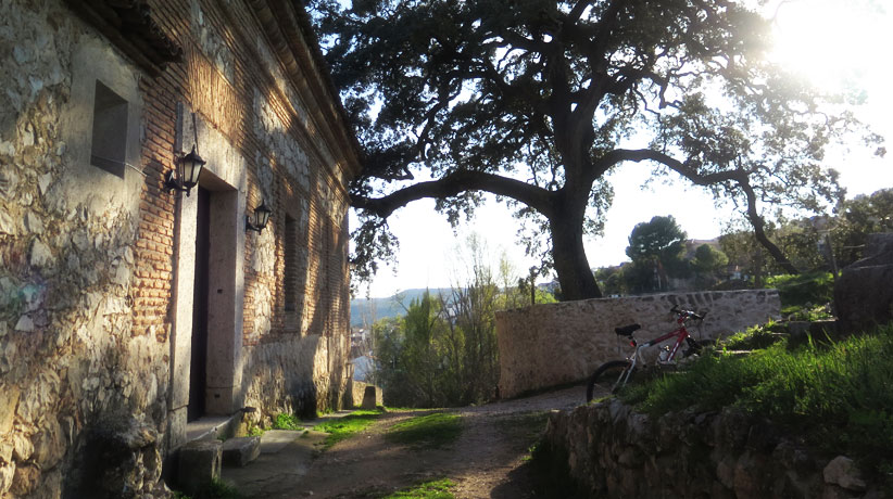 La Encina de Ambite con más de 600 años